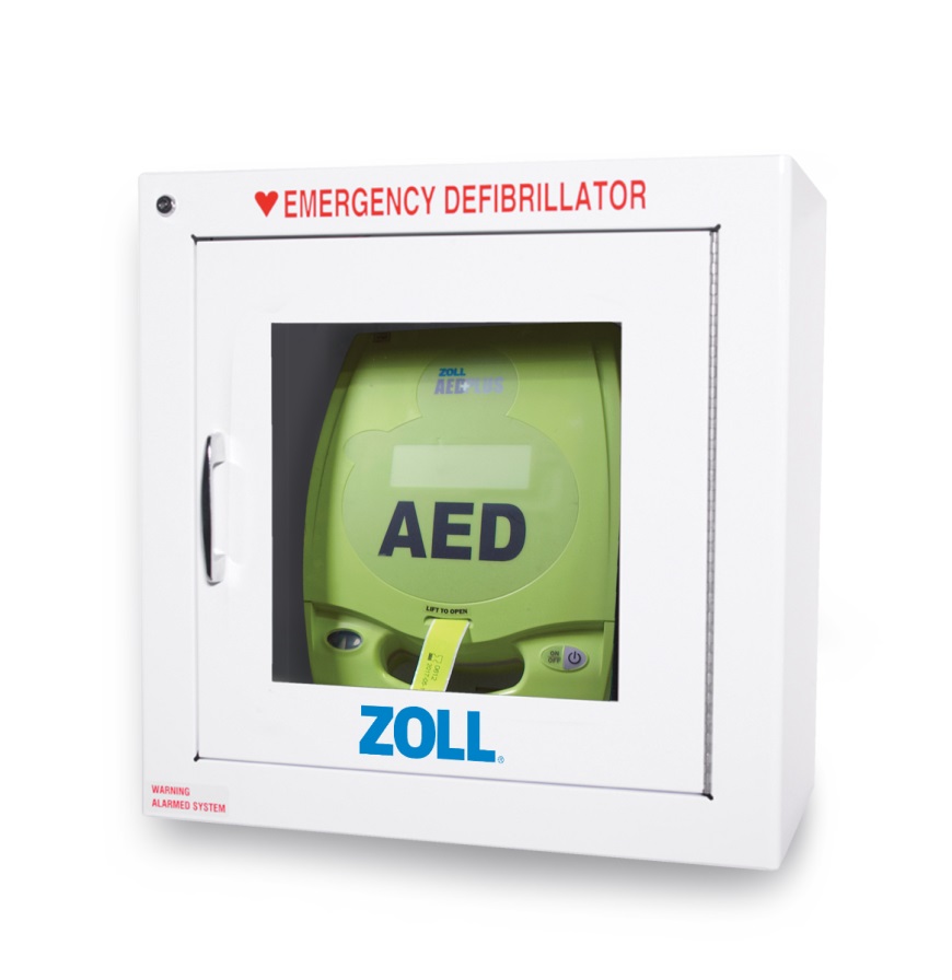STANDARD METAL WALL CABINET WITH ALARM - Automatic Defibrillators